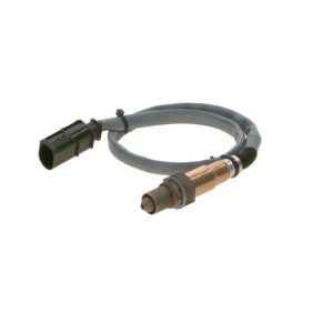 Oxygen Sensor