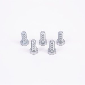 Screw