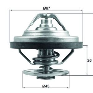 Thermostat, coolant