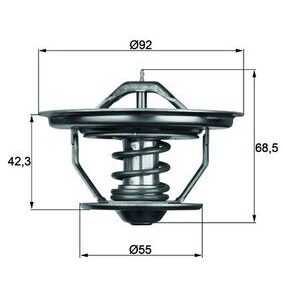 Thermostat, coolant